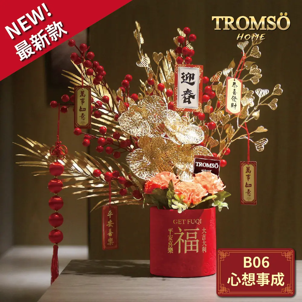 TROMSO金喜發財果新年花禮花籃B系列(小)/ B06心想事成