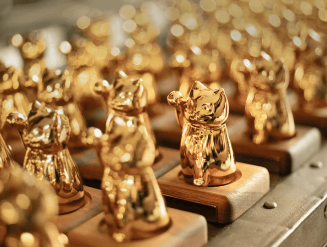 呼運貓成貓組/ 金