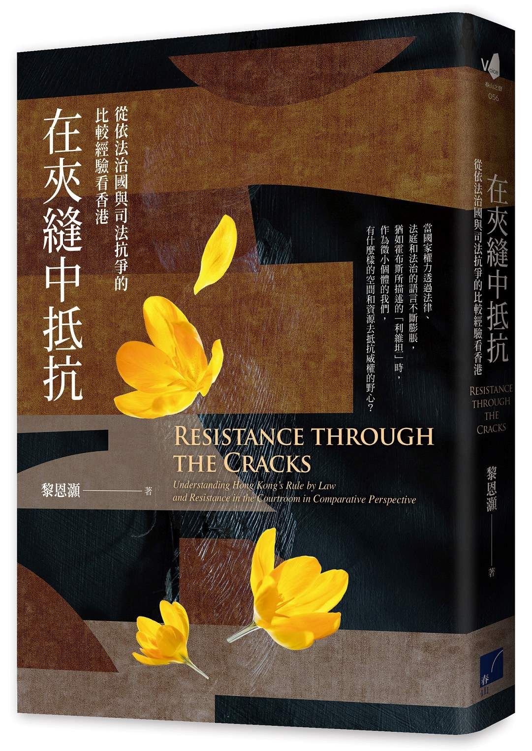 在夾縫中抵抗: 從依法治國與司法抗爭的比較經驗看香港