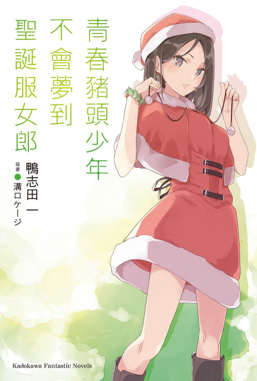 青春豬頭少年不會夢到聖誕服女郎: 青春豬頭少年系列 13