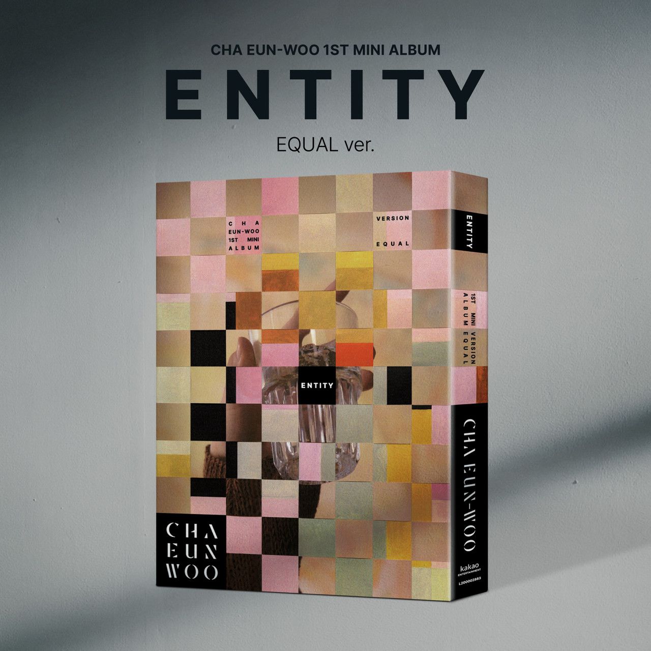 ENTITY (EQUAL Ver.)