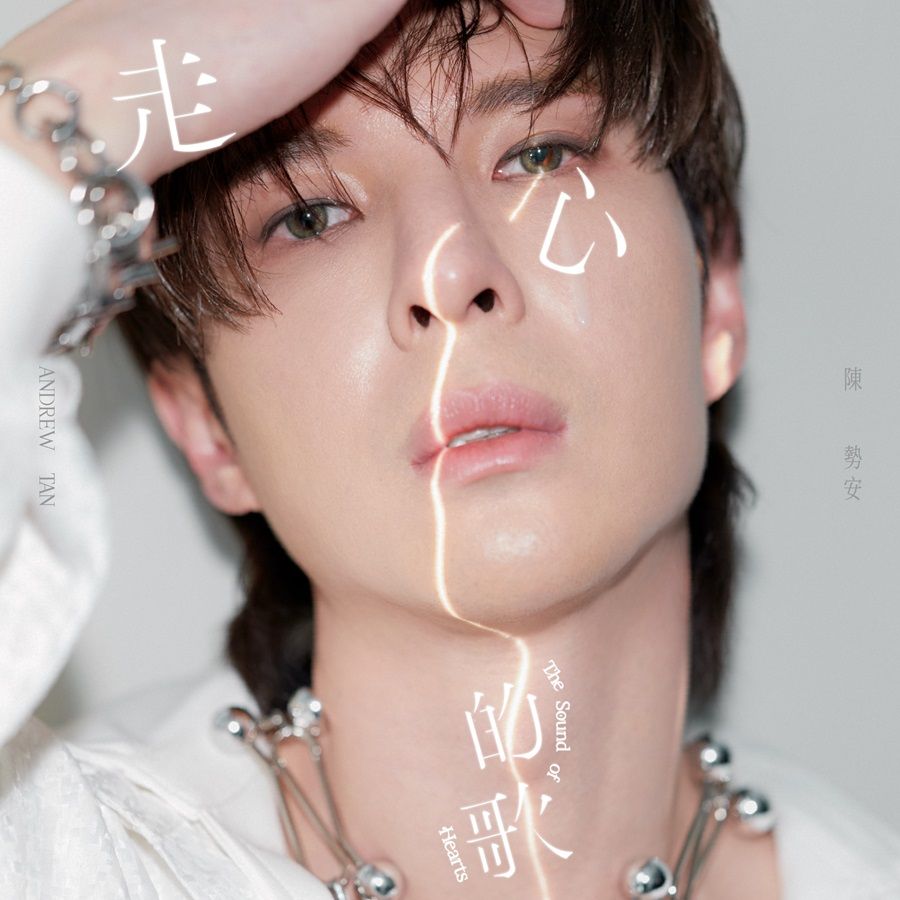 走心的歌 (CD)