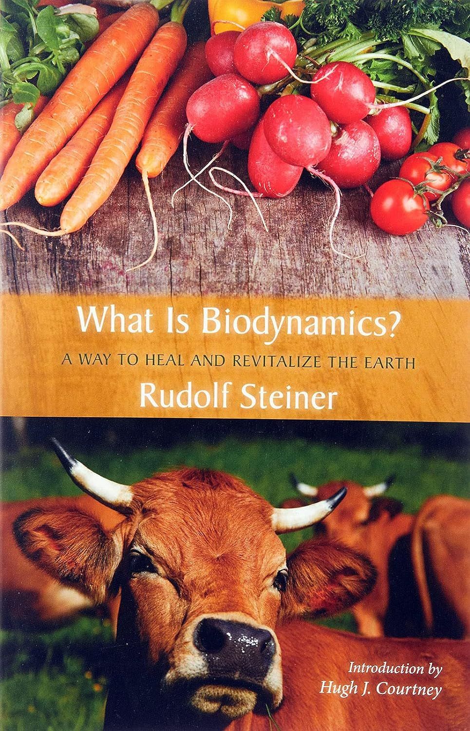 What Is Biodynamics: A Way to Heal and Revitalize the Earth