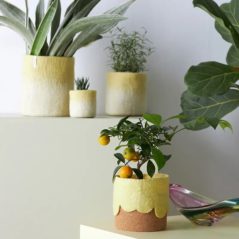 Aveva Design瑞典羊毛氈 FLOWER POT 22羊毛氈漸層花盆  花器 盆器 盆栽 多色/ 檸檬黃