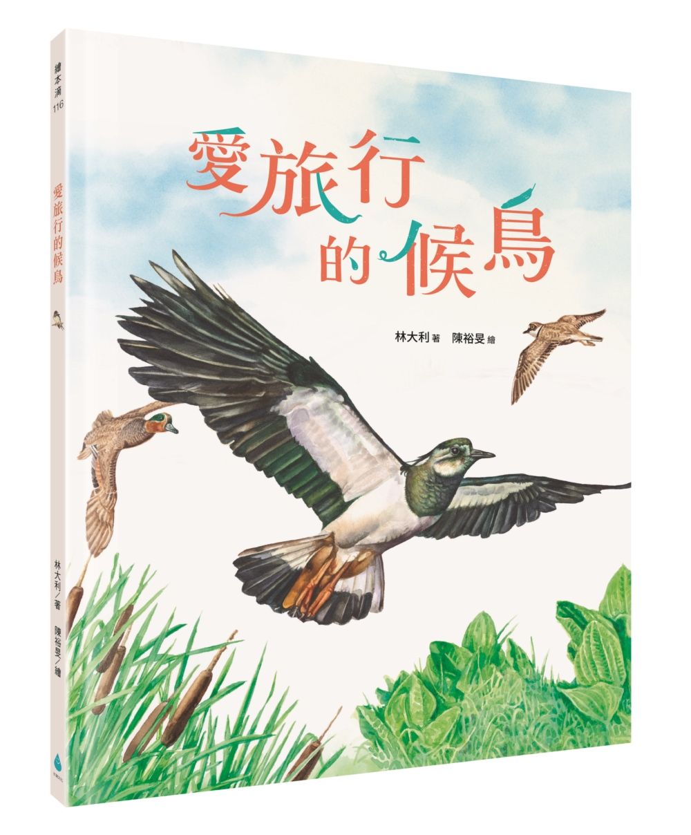 愛旅行的候鳥