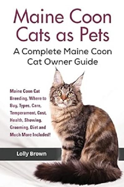 Maine Coon Cats as Pets: Maine Coon Cat Breeding, Where to Buy, Types, Care, Temperament, Cost, Health, Showing, Grooming, Diet and