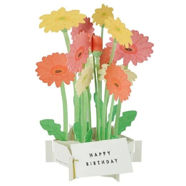 日本 Greeting Life 造型立體花 生日卡/ 非洲菊