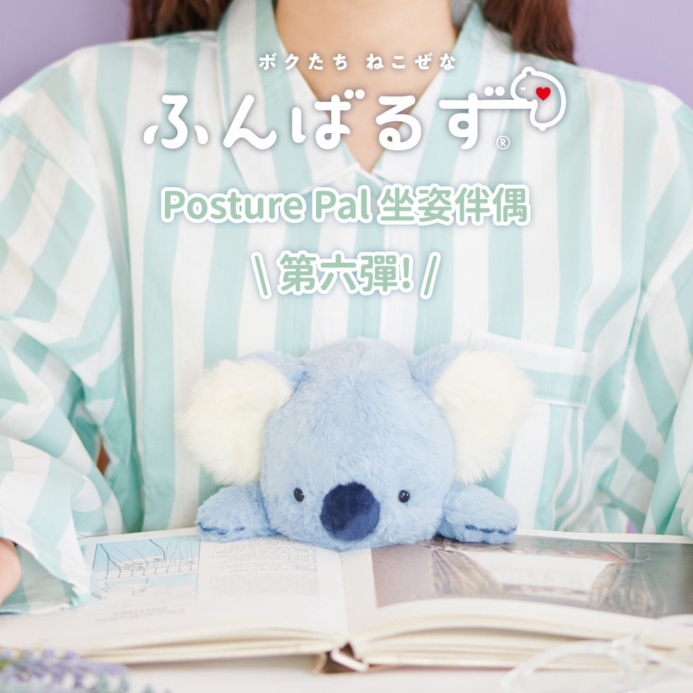 Dreams Posture Pal坐姿伴偶/ L/ 第六彈/ 無尾熊