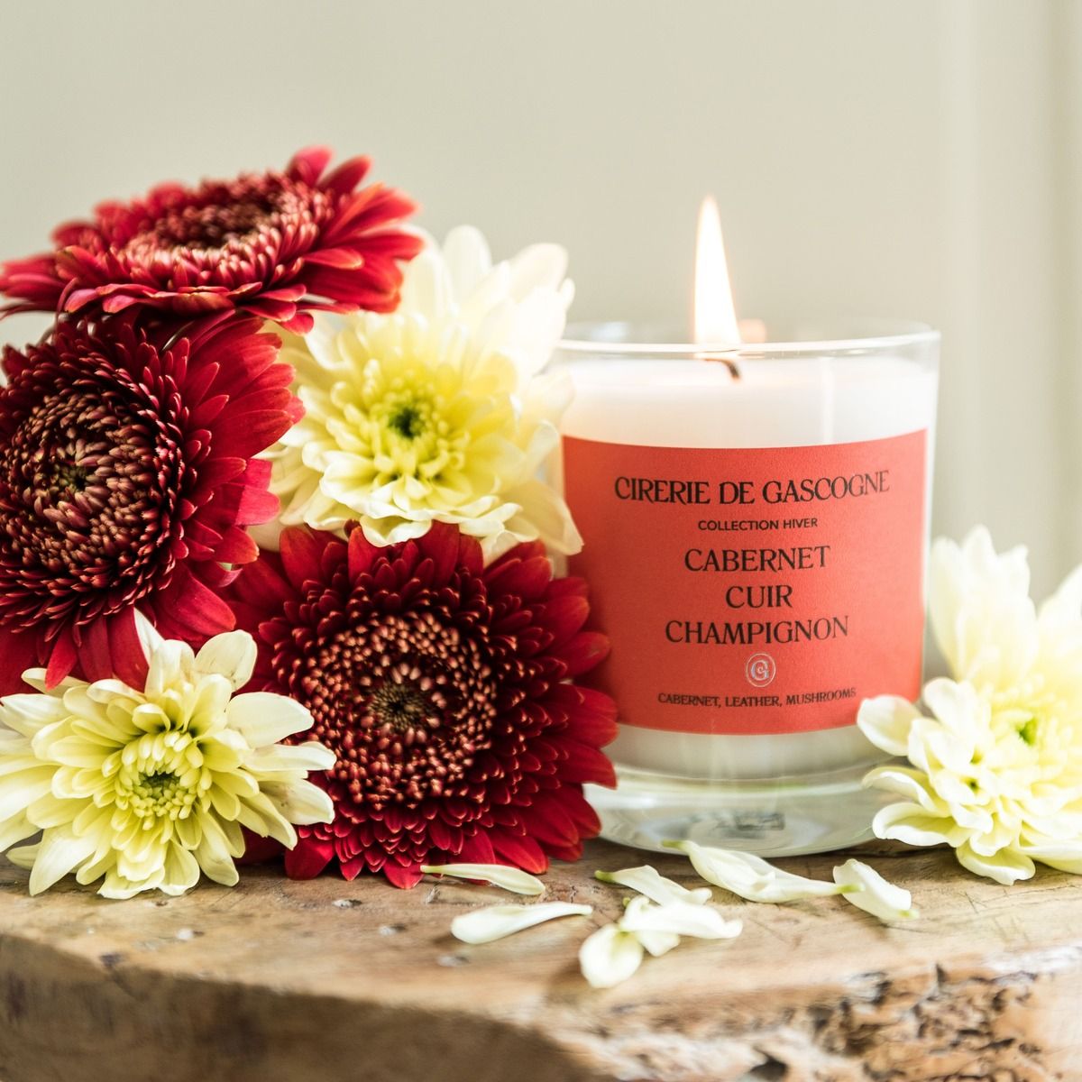 法國Cirerie de Gascogne天然香氛蠟燭 180g/ 卡本內x皮革x洋菇