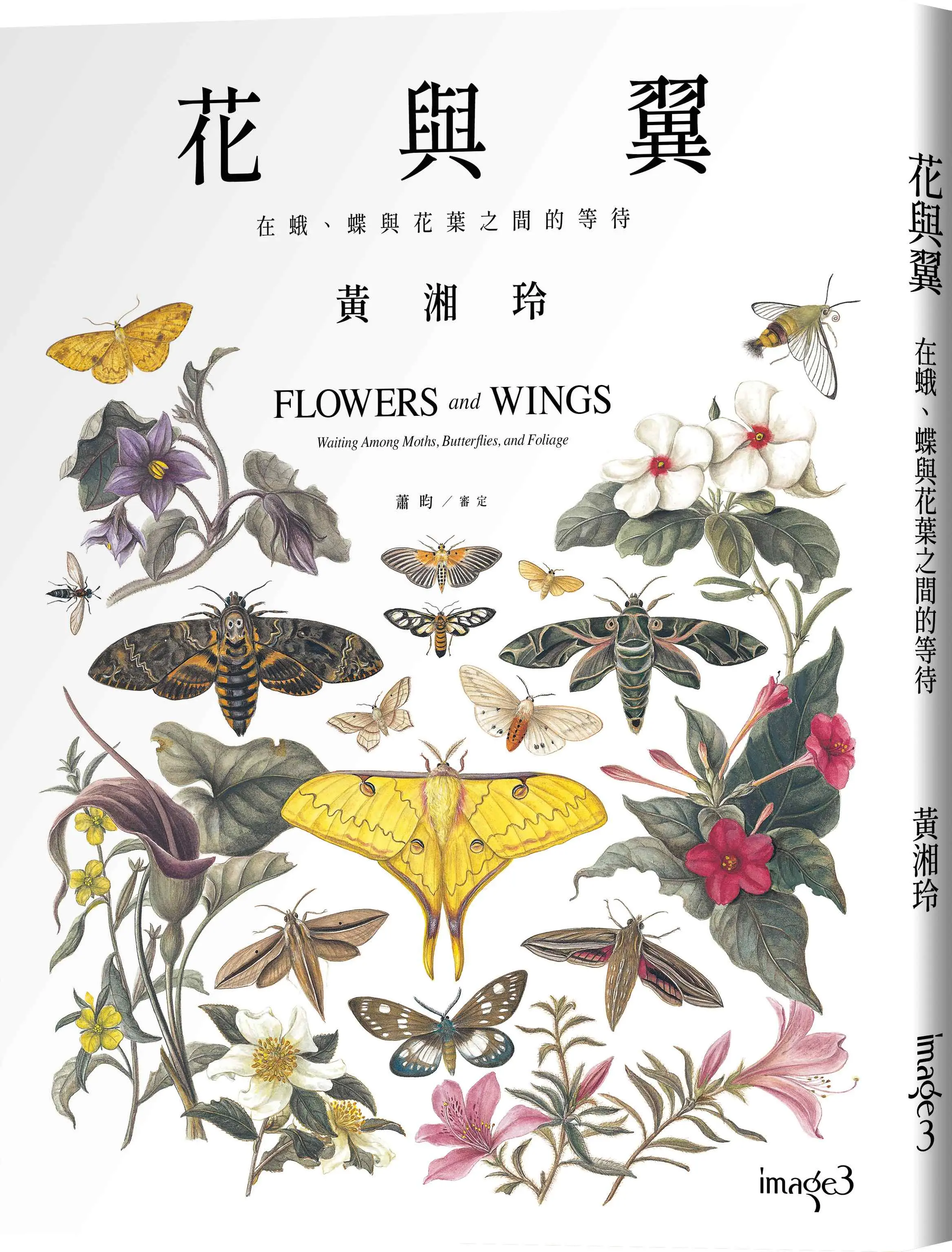 花與翼: 在蛾、蝶與花葉之間的等待