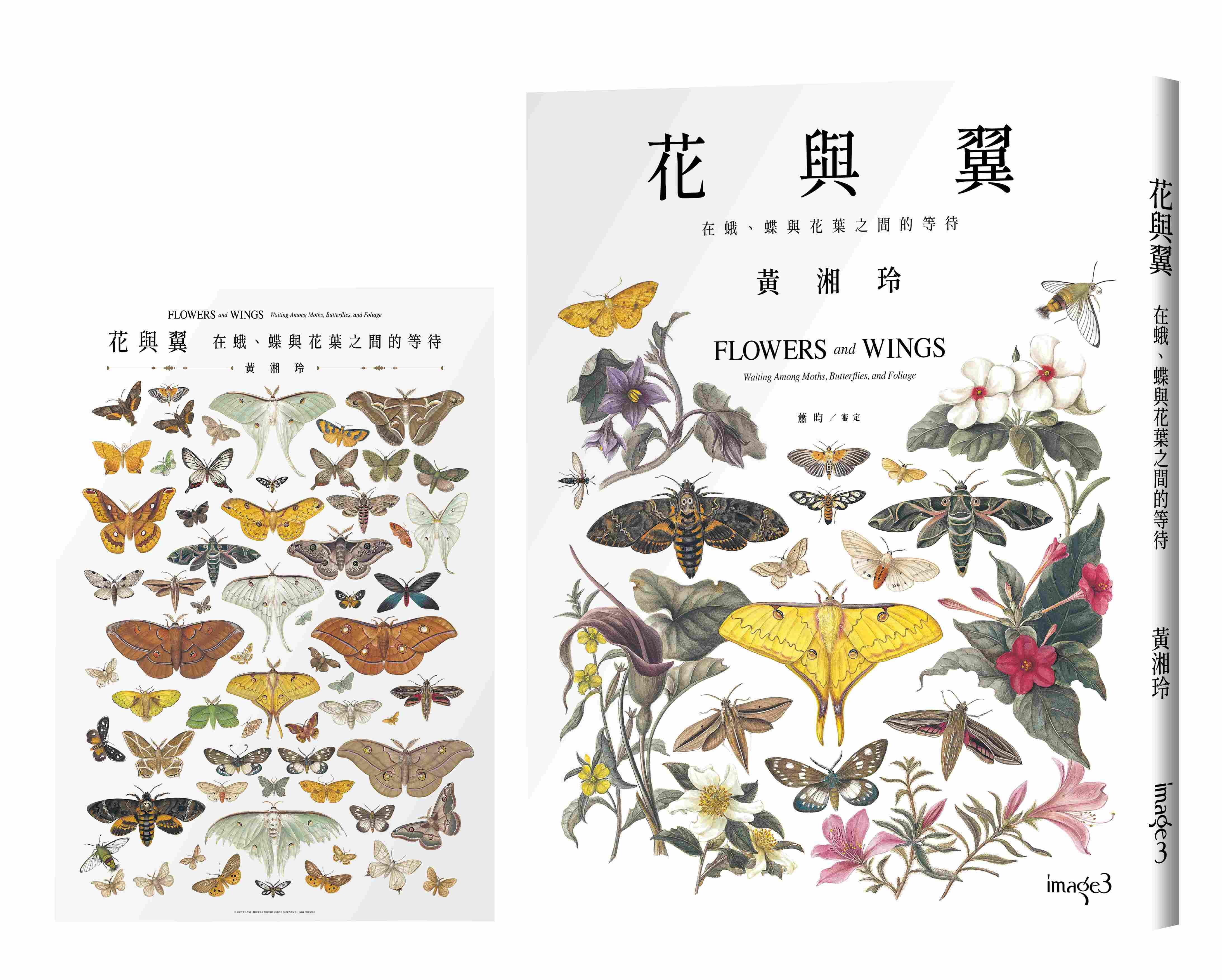 花與翼: 在蛾、蝶與花葉之間的等待 (首刷限定海報版/附蛾之舞精美大型海報)