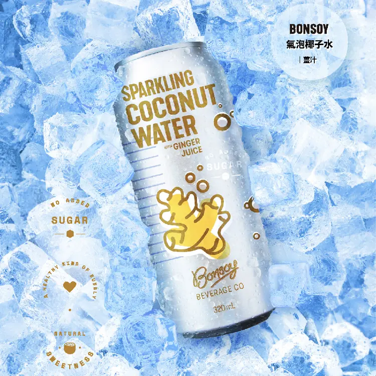 Bonsoy 氣泡椰子水 - 薑汁12罐/箱(320ml/罐)