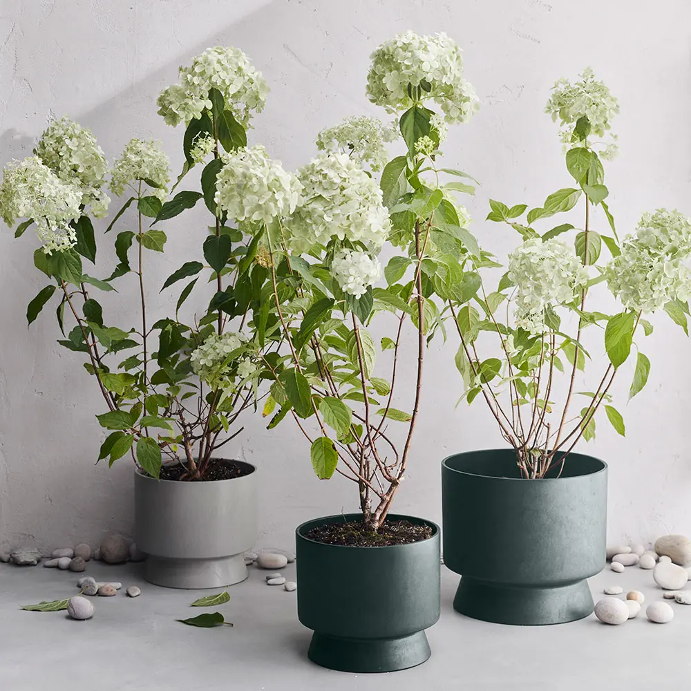 回收的再生塑料✦Rosendahl RO 小草植栽盆