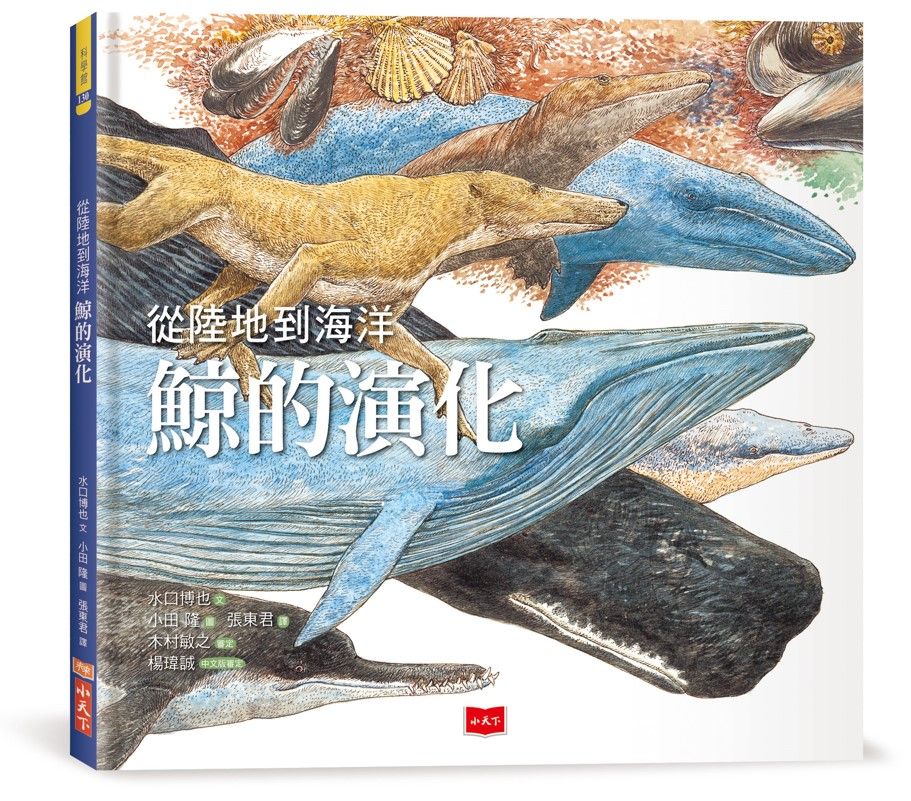 從陸地到海洋: 鯨的演化