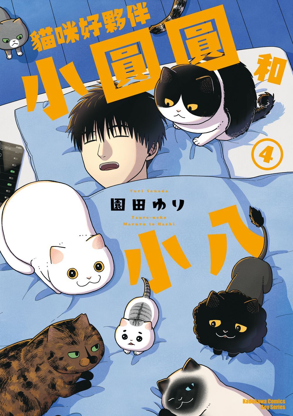 貓咪好夥伴小圓圓和小八 4