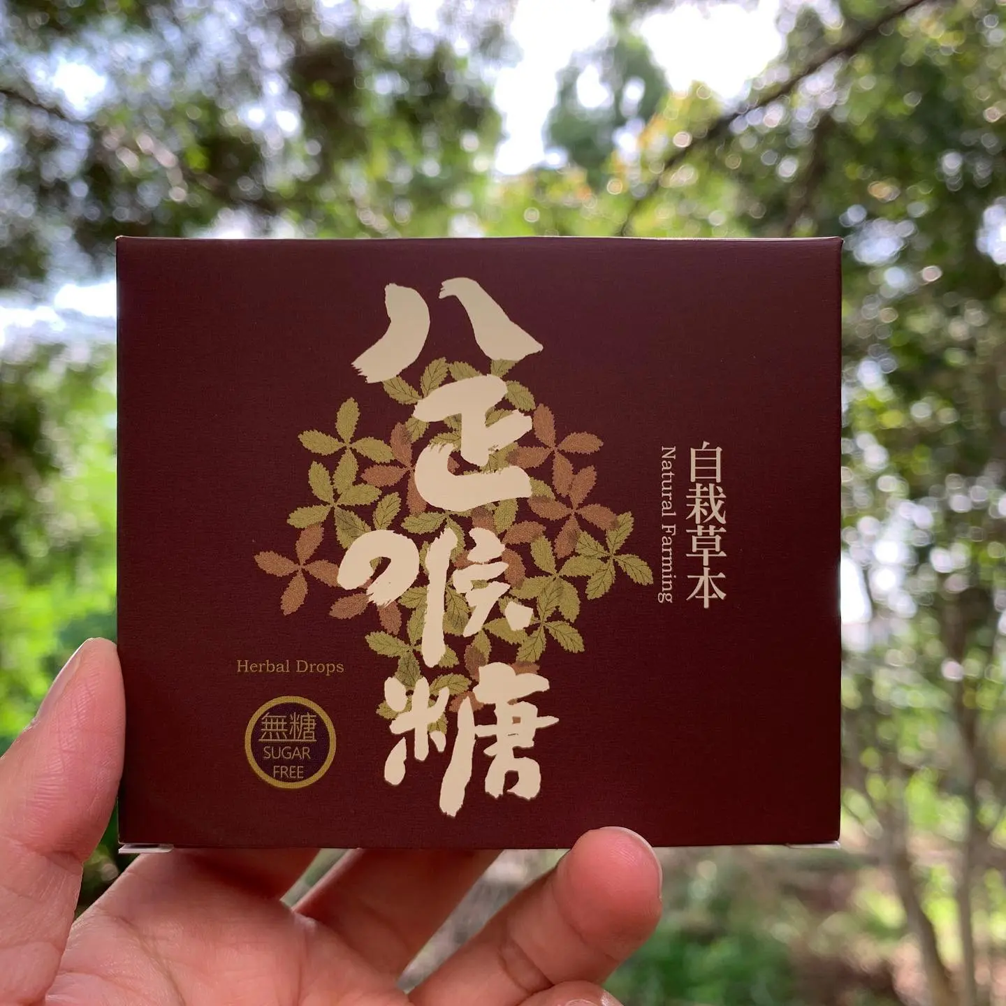 億達草本八正喉糖/ 天然草本無糖/ 小盒16顆入