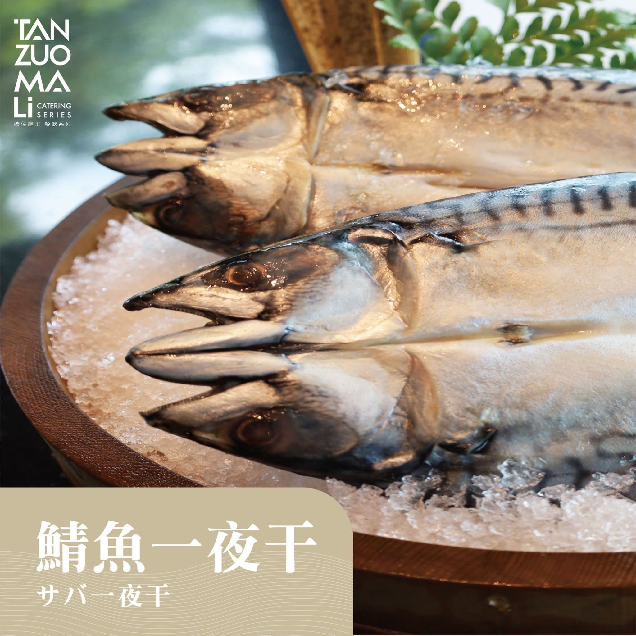 【碳佐麻里】薄鹽挪威鯖魚 (1入/包,共6包)