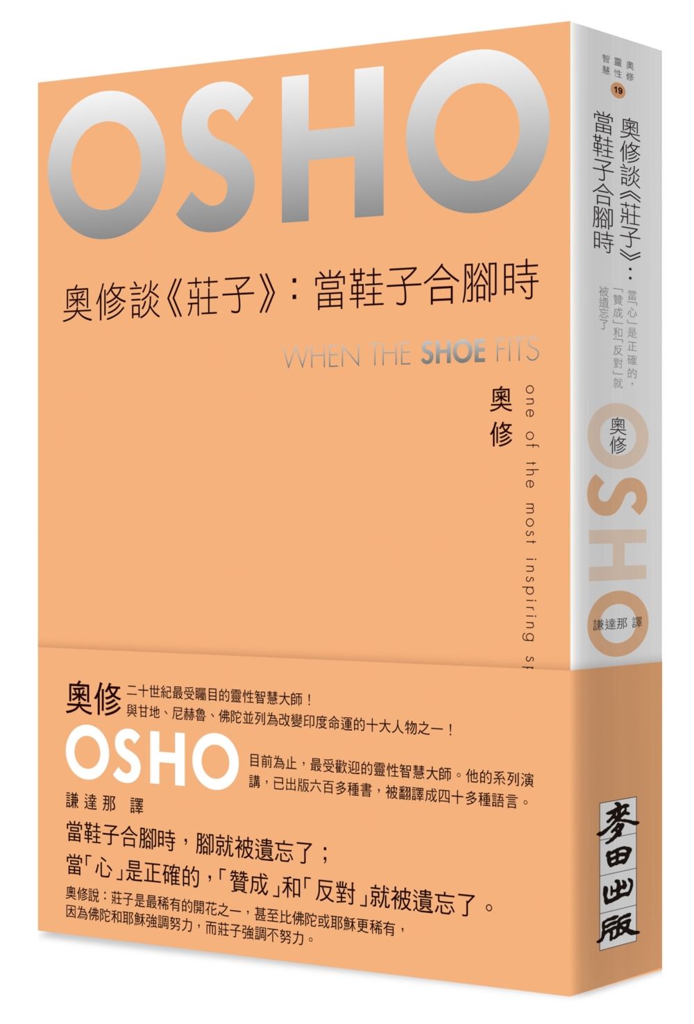 奧修談莊子: 當鞋子合腳時