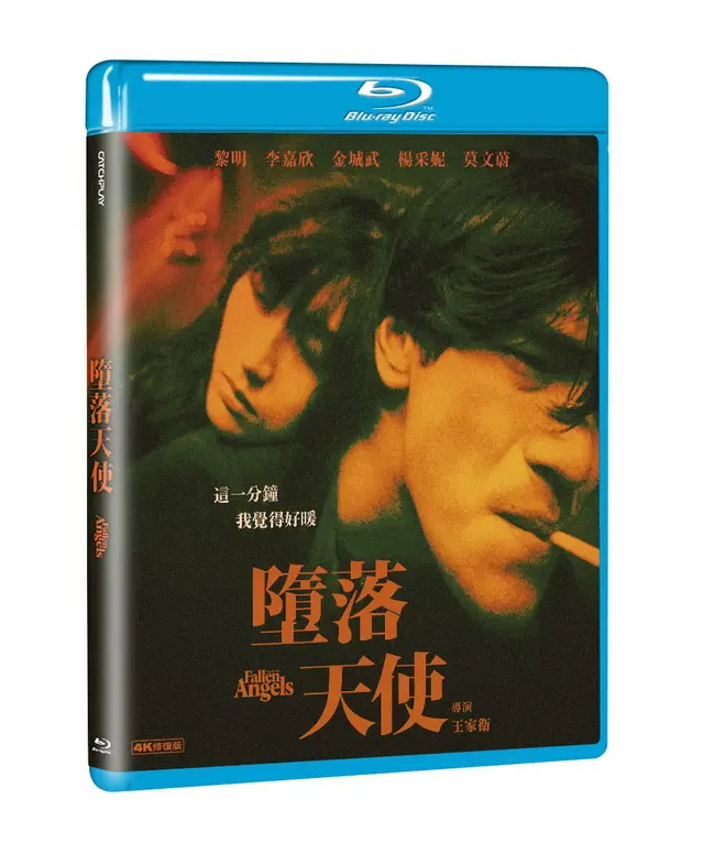 墮落天使 (BD)