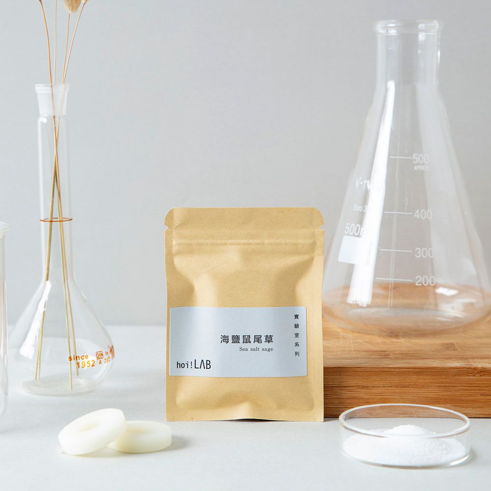 【hoi!LAB】實驗室-車用香氛補充片2入組/ 海鹽鼠尾草