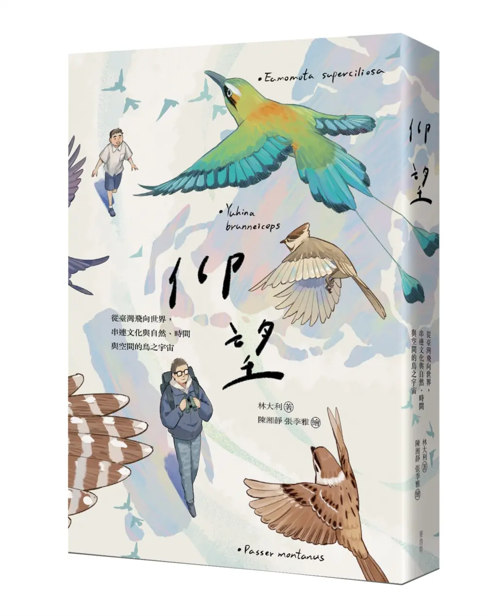 仰望: 從臺灣飛向世界, 串連文化與自然、時間與空間的鳥之宇宙
