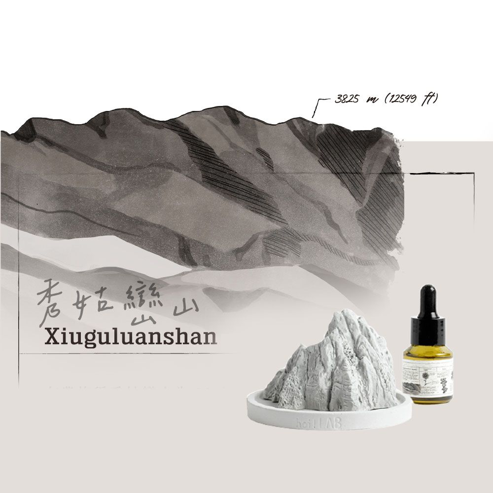 【hoi!LAB】台灣百岳組合-水氧機精油15ML*1+造型擴香石(白)*1/ 秀姑巒山虎杖