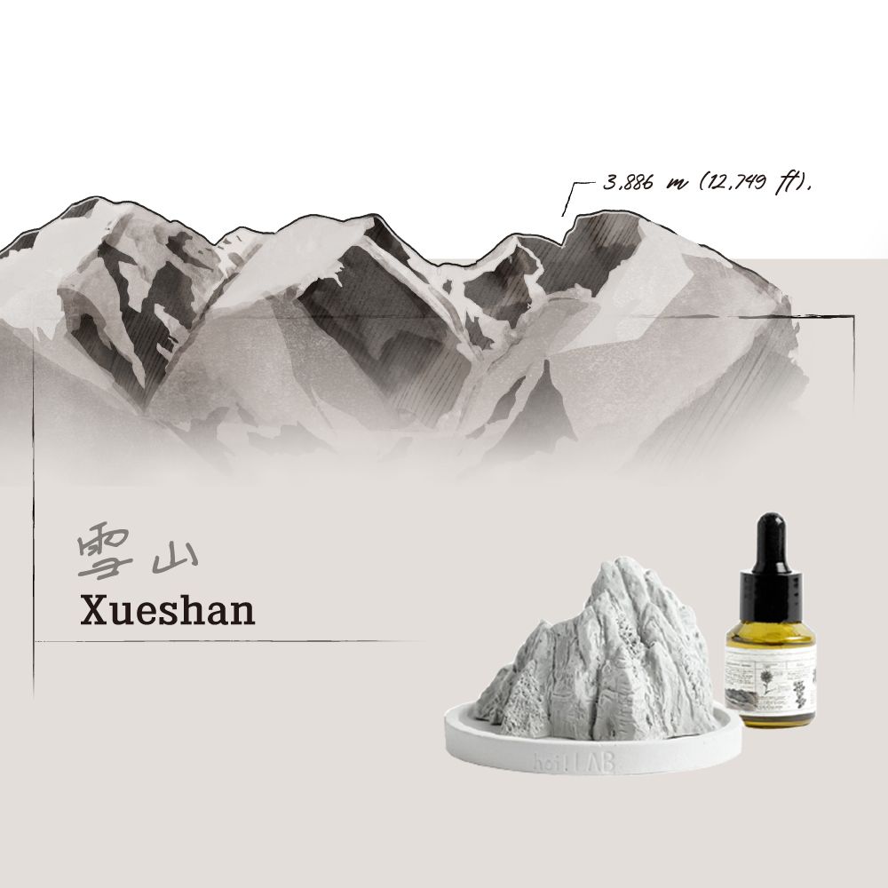 【hoi!LAB】台灣百岳組合-水氧機精油15ML*1+造型擴香石(白)*1/ 雪山冬青