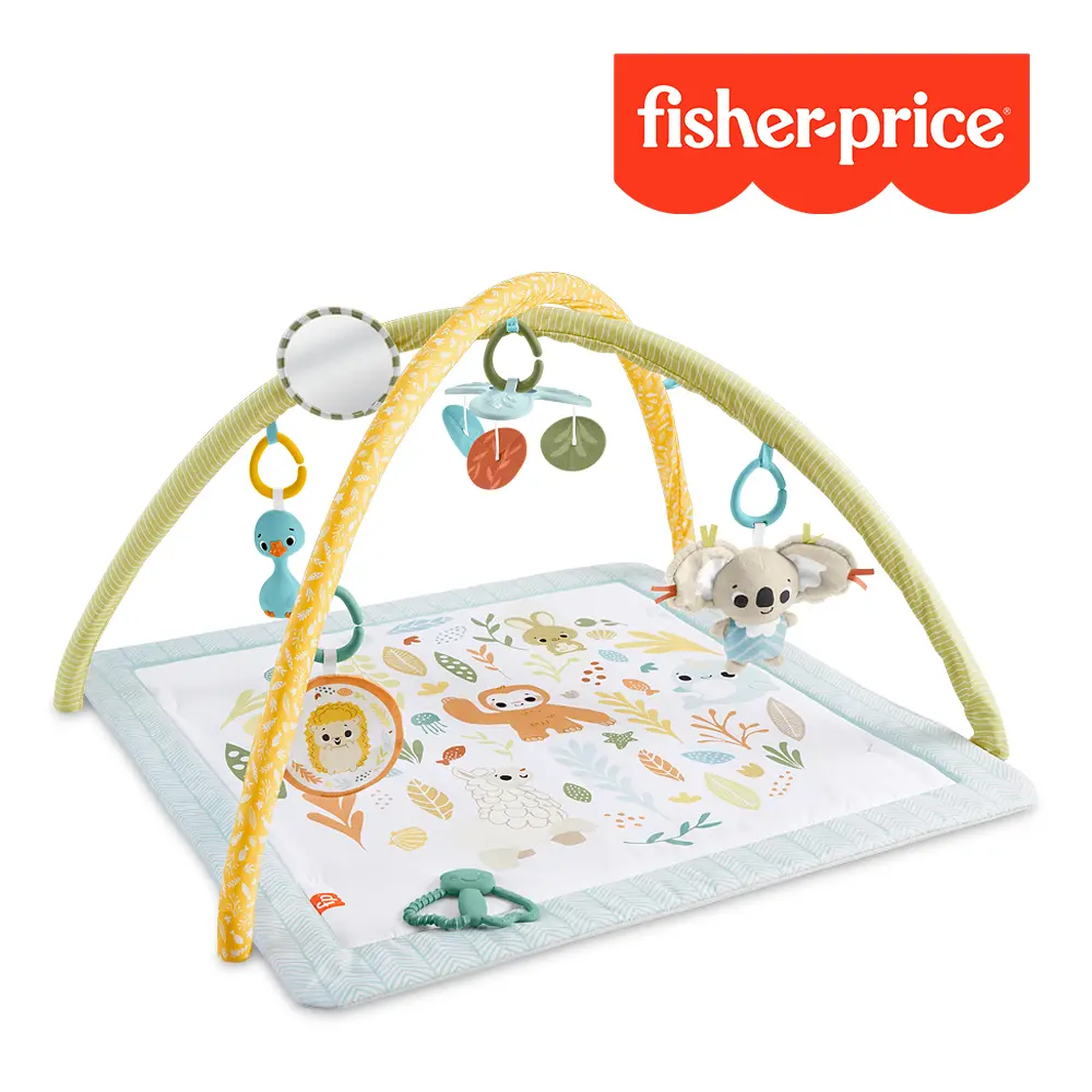 【Fisher price 費雪】基礎感官訓練健身器