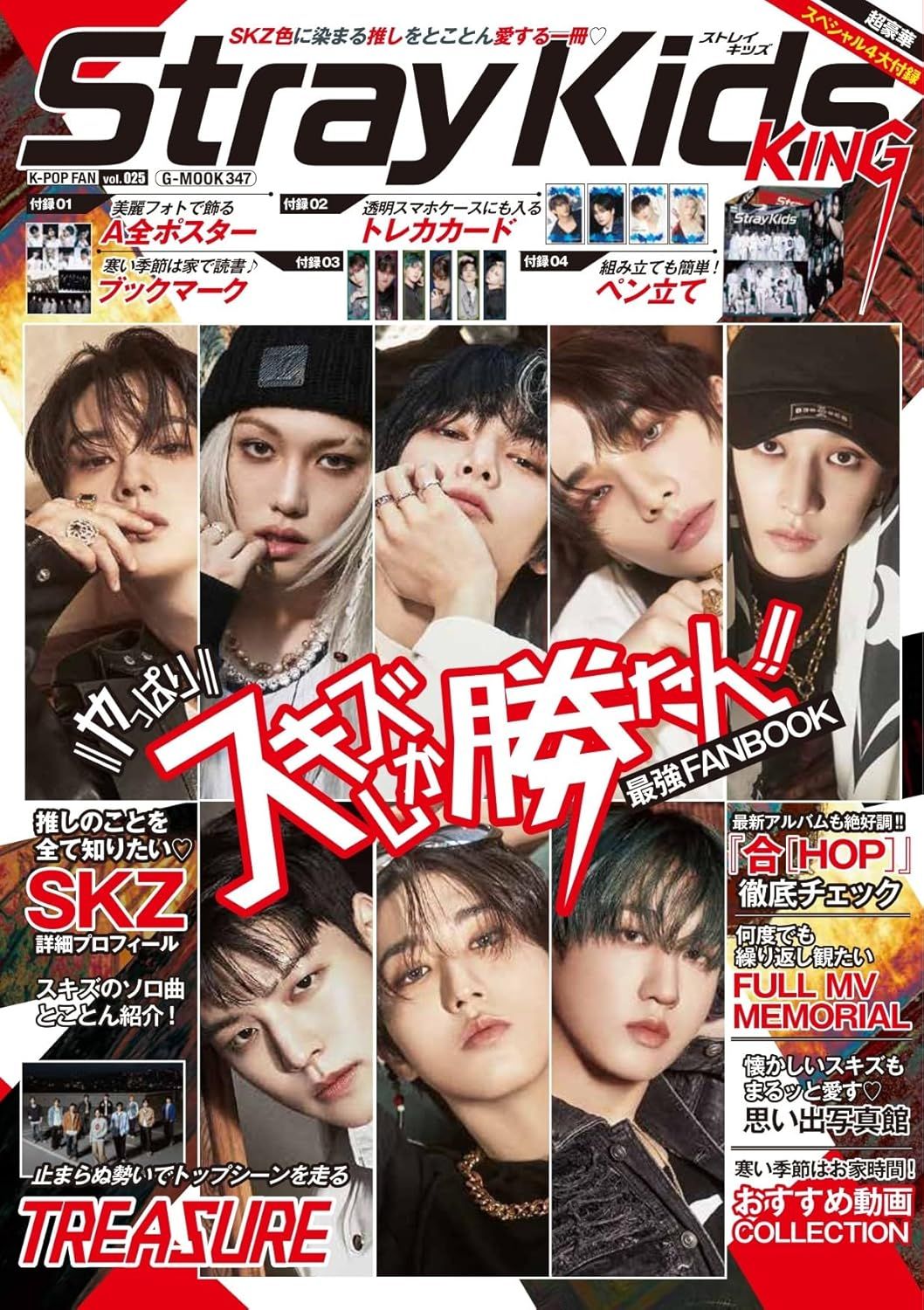 K-POP FAN (No.25)
