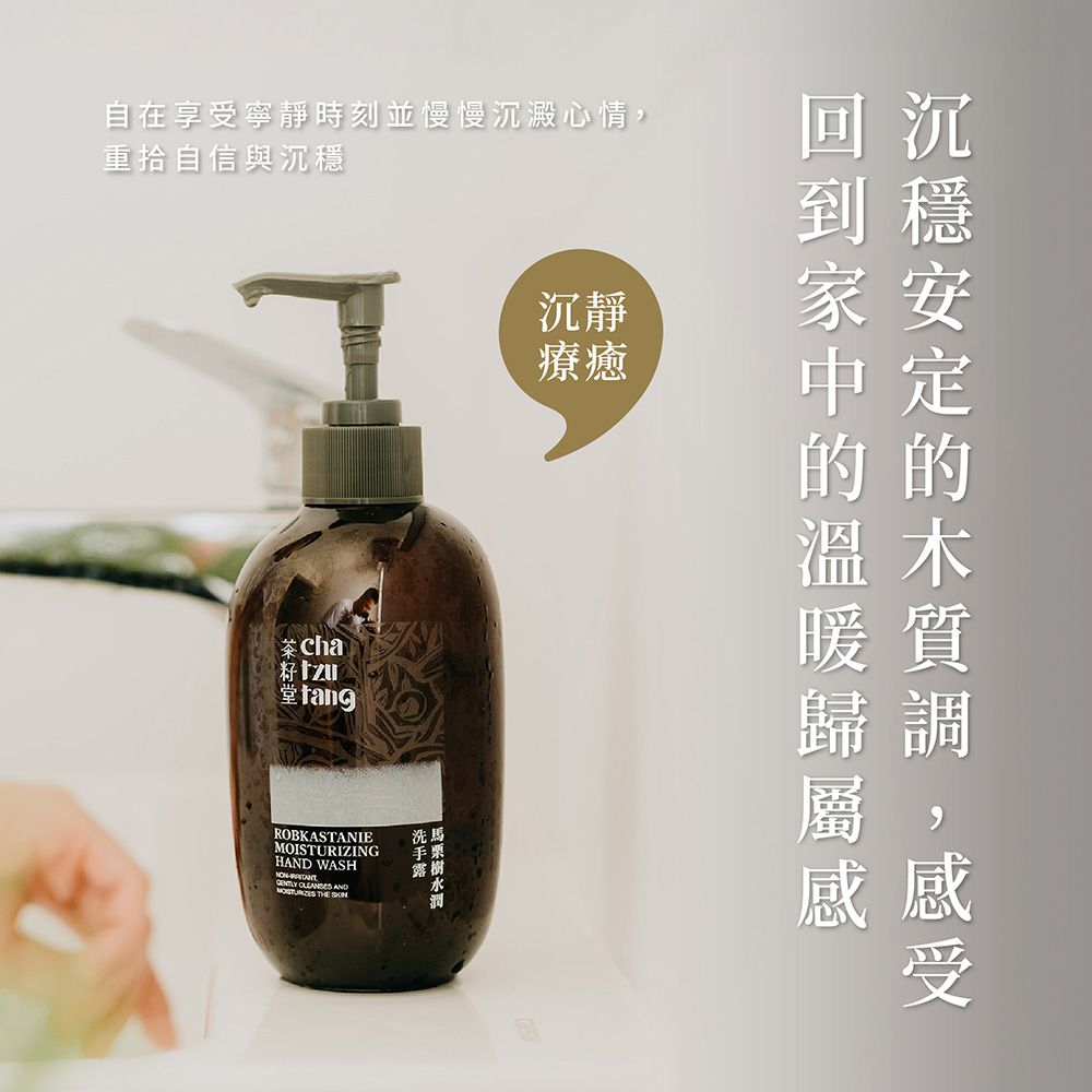 茶籽堂 馬栗樹水潤洗手露/ 500ml