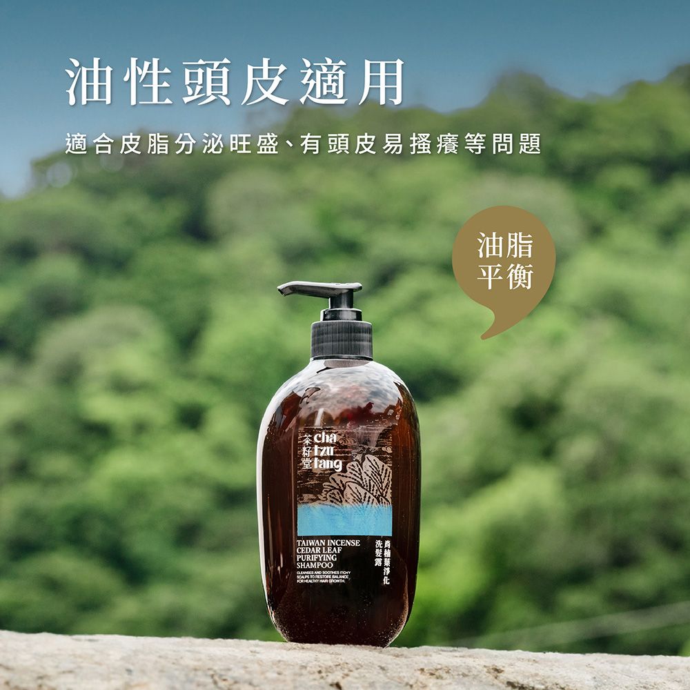 茶籽堂肖楠葉淨化洗髮露/ 500ml