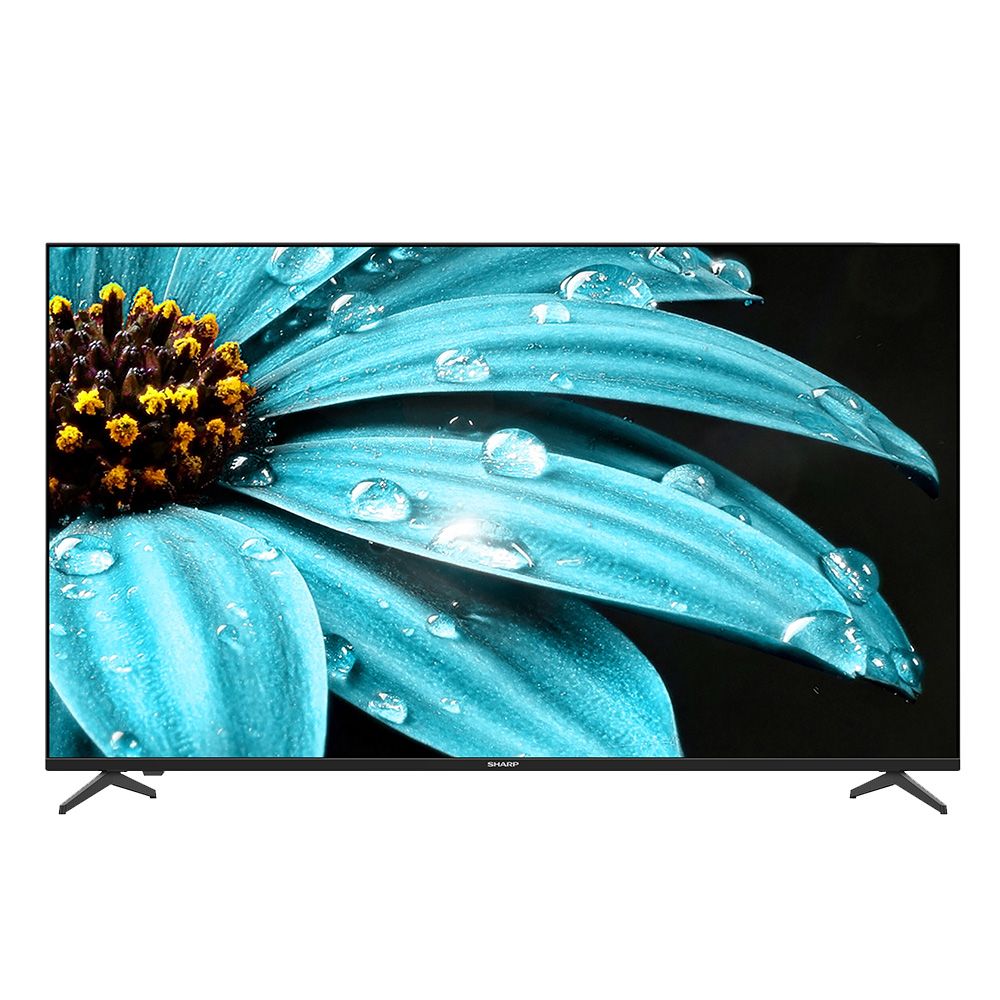 【SHARP 夏普】55型 4K UHD Google TV智慧連網液晶顯示器 ‭‭4T-C55FJ1X