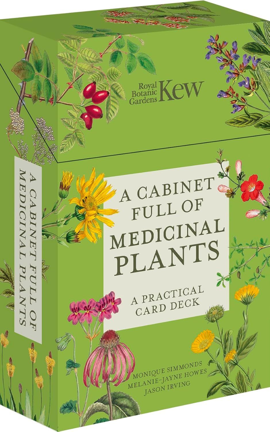 A Cabinet Full of Medicinal Plants: A Practical Card Deck