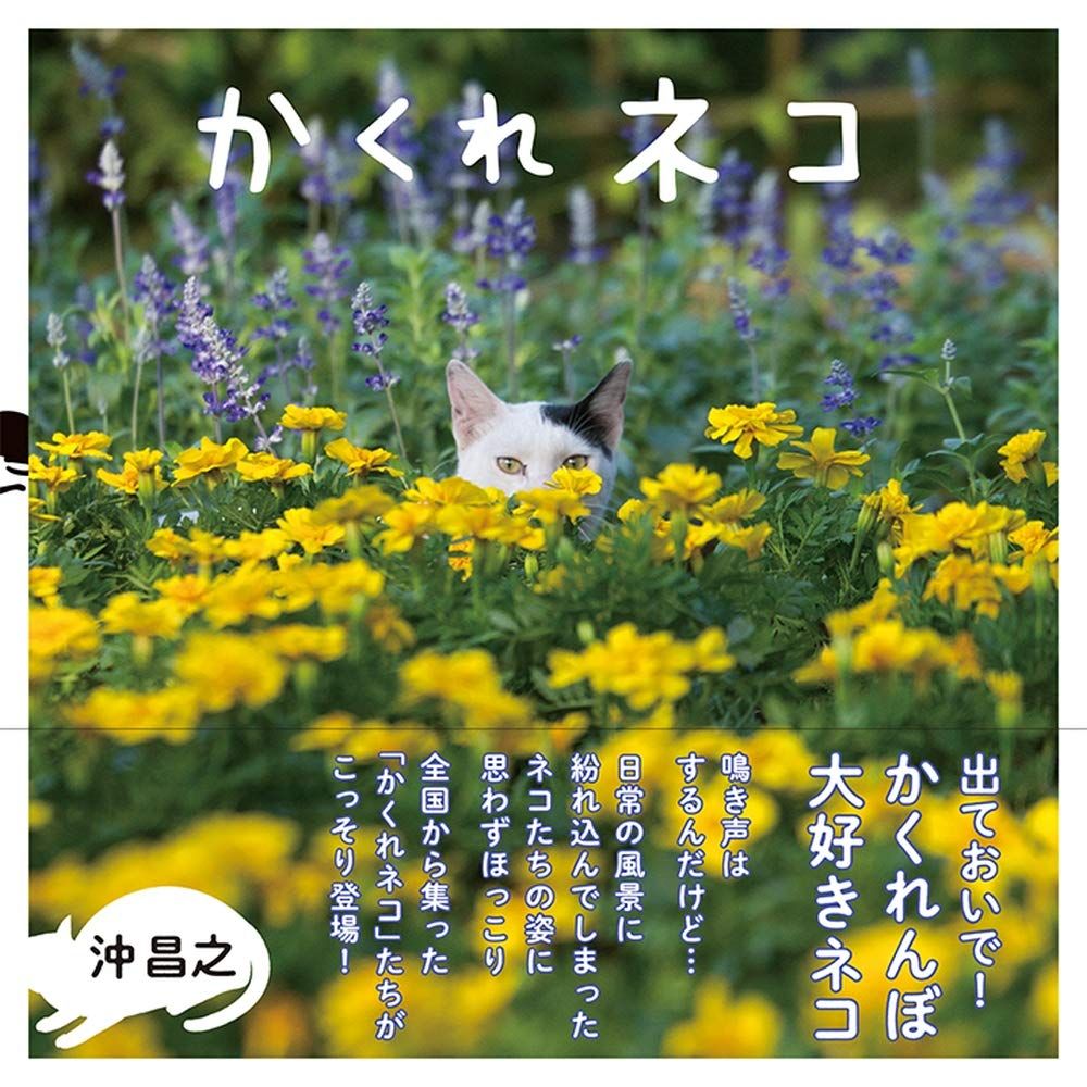 かくれネコ