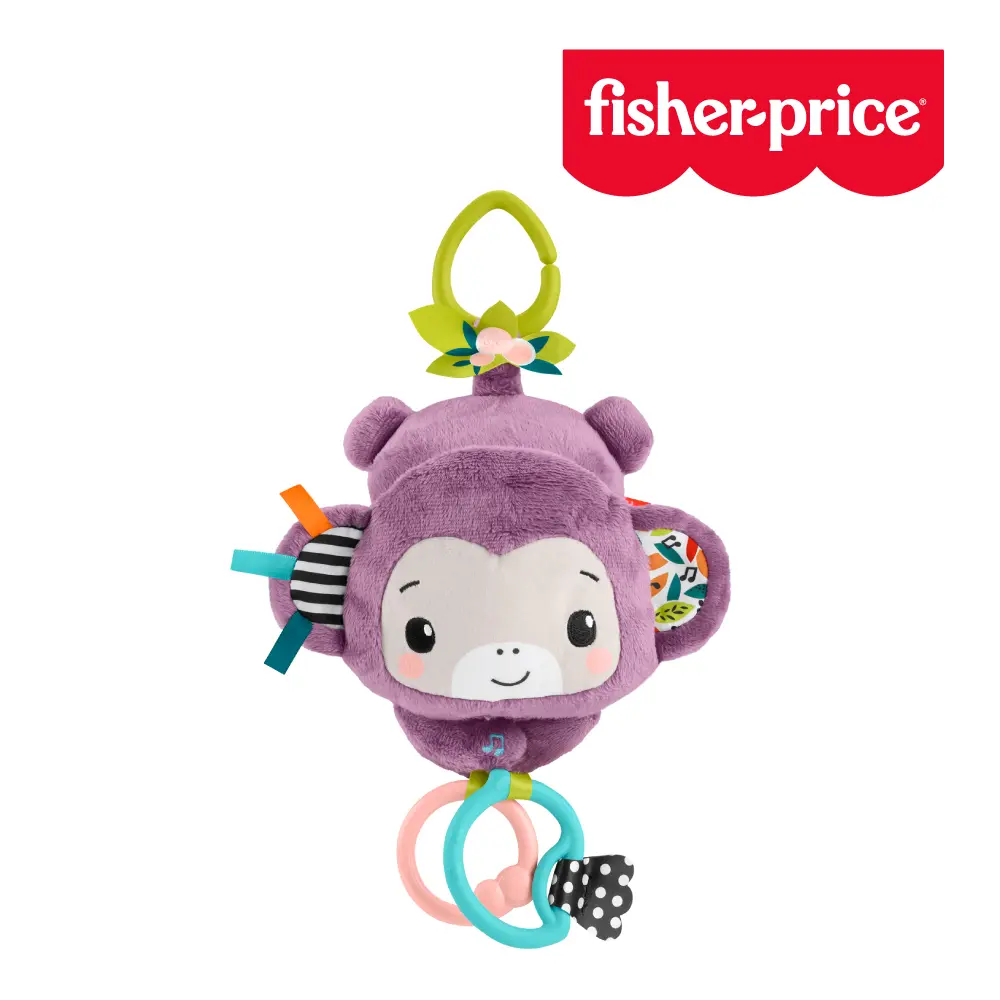 【Fisher price 費雪】歌唱感官紫色猴子