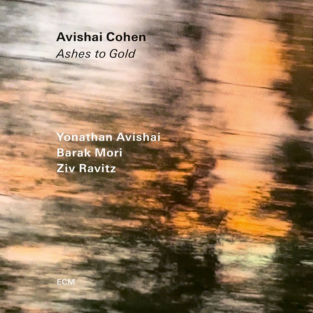 Ashes to Gold (LP)