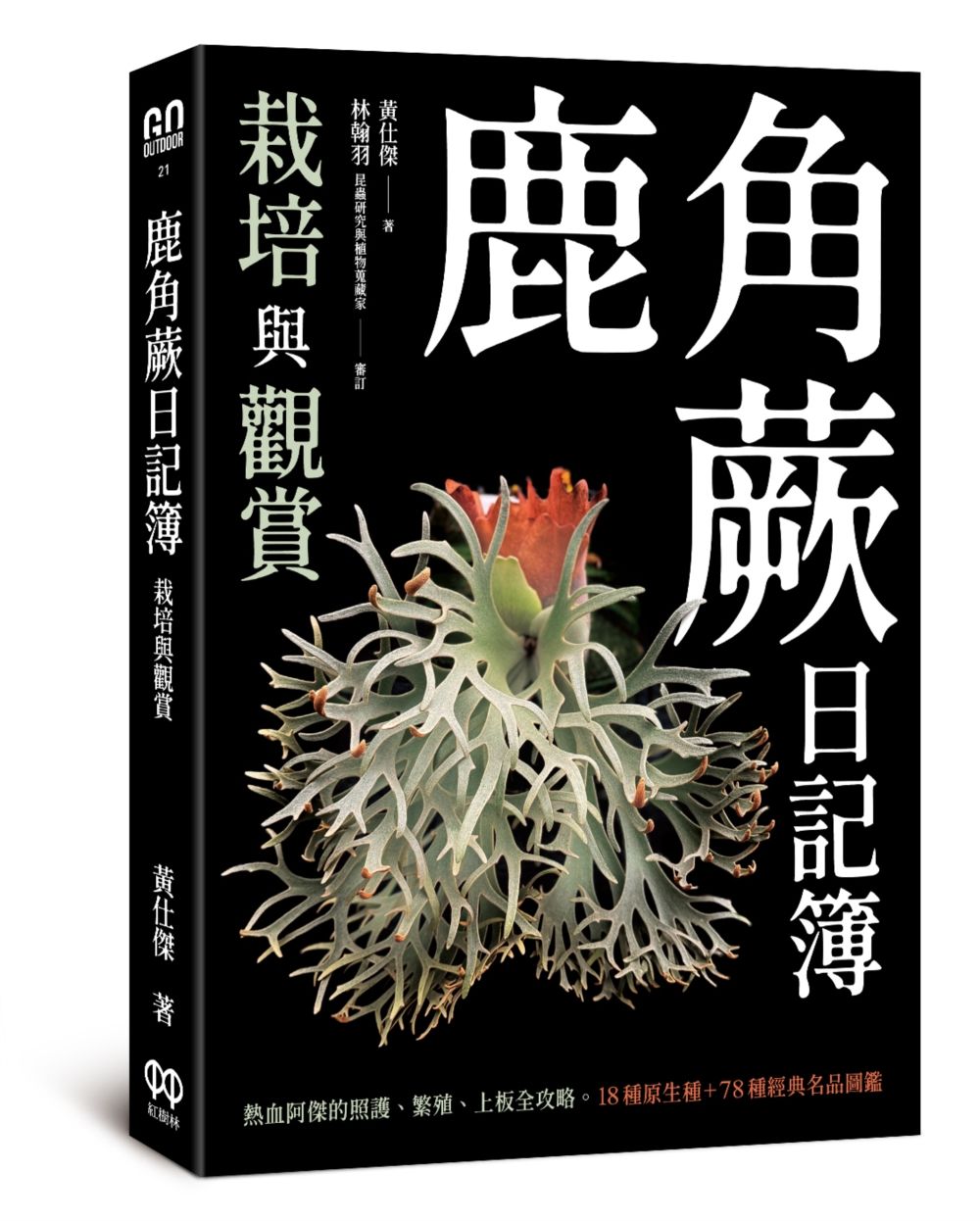 鹿角蕨日記簿: 栽培與觀賞
