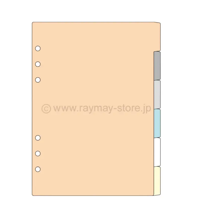 Raymay Davinci A5分類用內頁/6區分