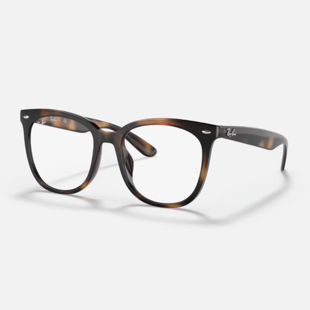 Ray Ban｜RX4379VD-2012 方形膠框光學眼鏡/ 公司貨