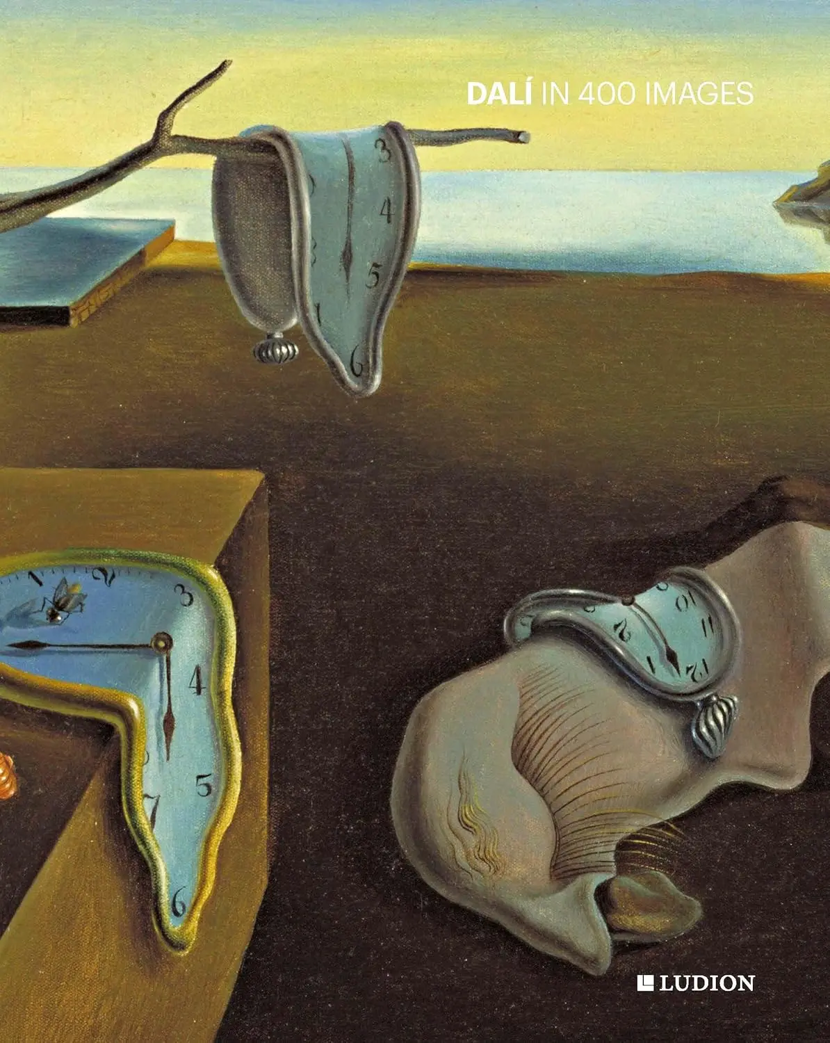 Dalí in 400 Images