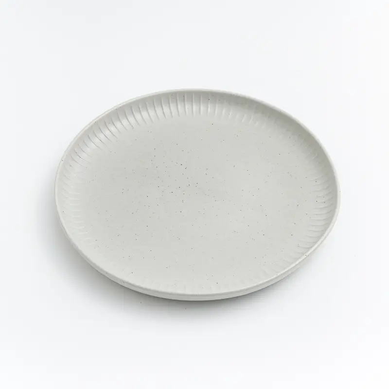 WAGA樸質灰點陶瓷盤/ 21.4cm/ 單品