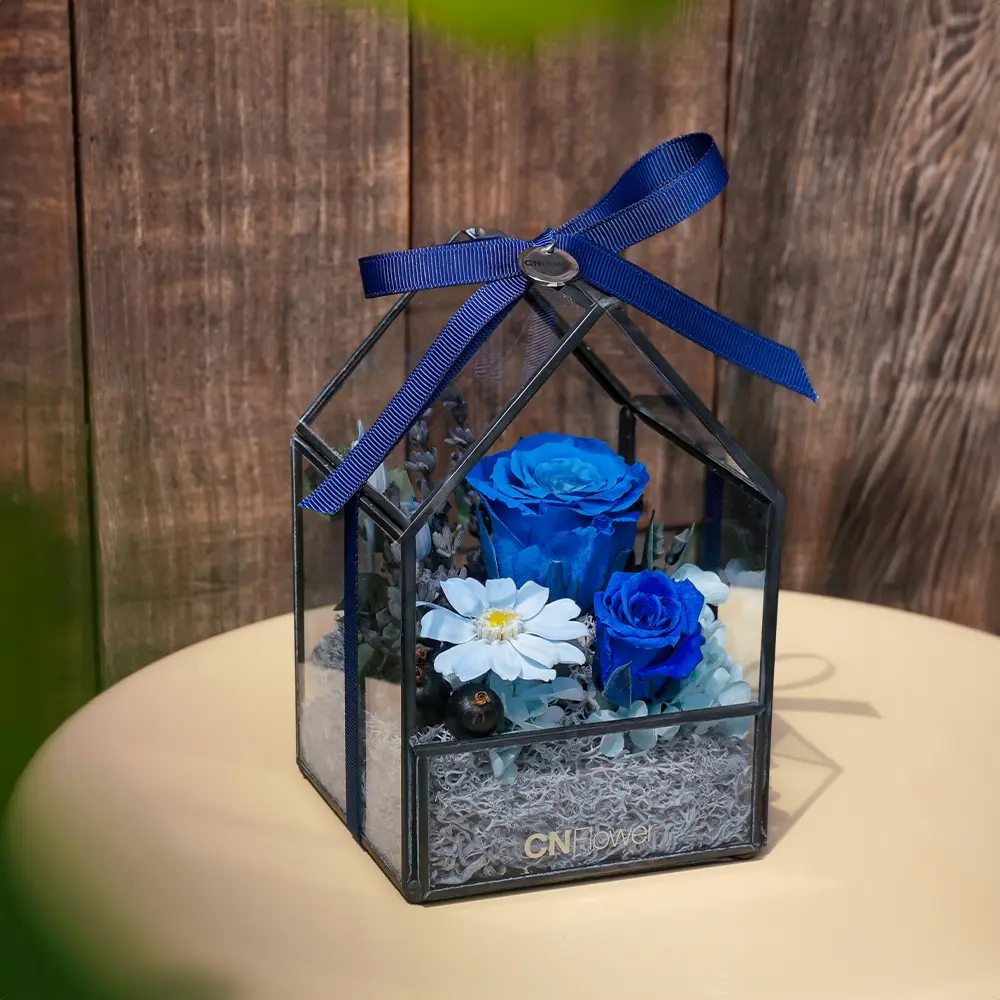 CNFlower西恩 甜蜜小屋 恆星花禮(藍) 永生花 居家擺飾 驚喜 祝福