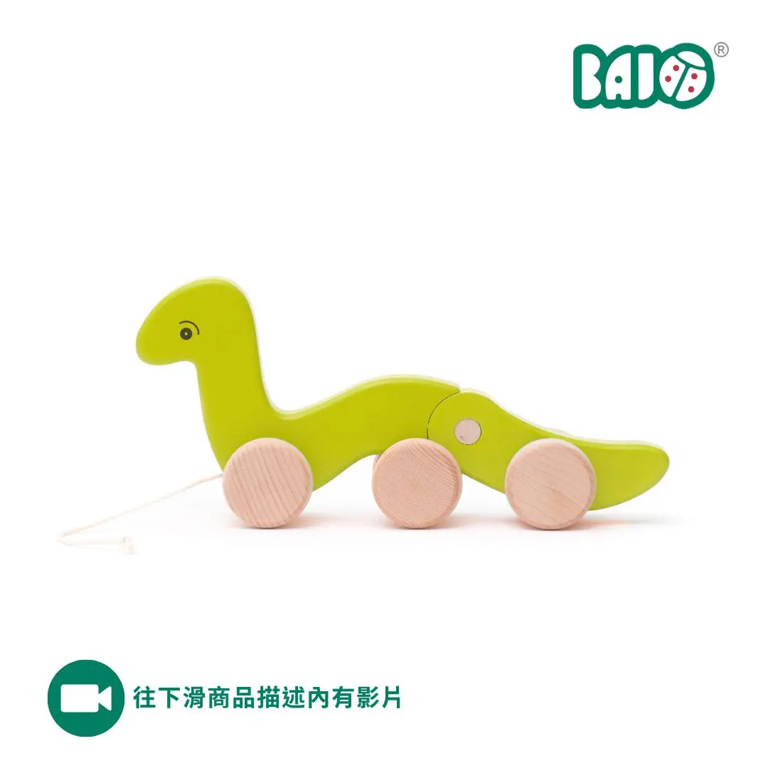 BAJO動物系列/ 扭扭小蟲拉繩玩具/ 綠色