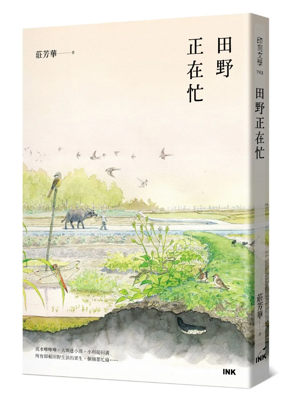 田野正在忙