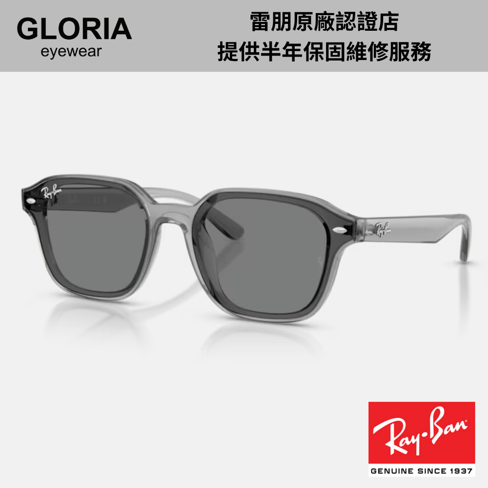 Ray Ban｜RB4458D-645087 方形膠框太陽眼鏡/ 公司貨