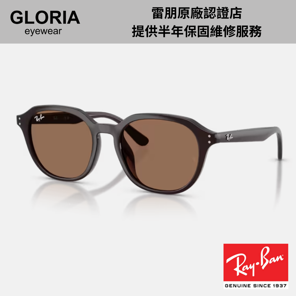 Ray Ban｜RB4459D-623173 圓形膠框太陽眼鏡/ 公司貨