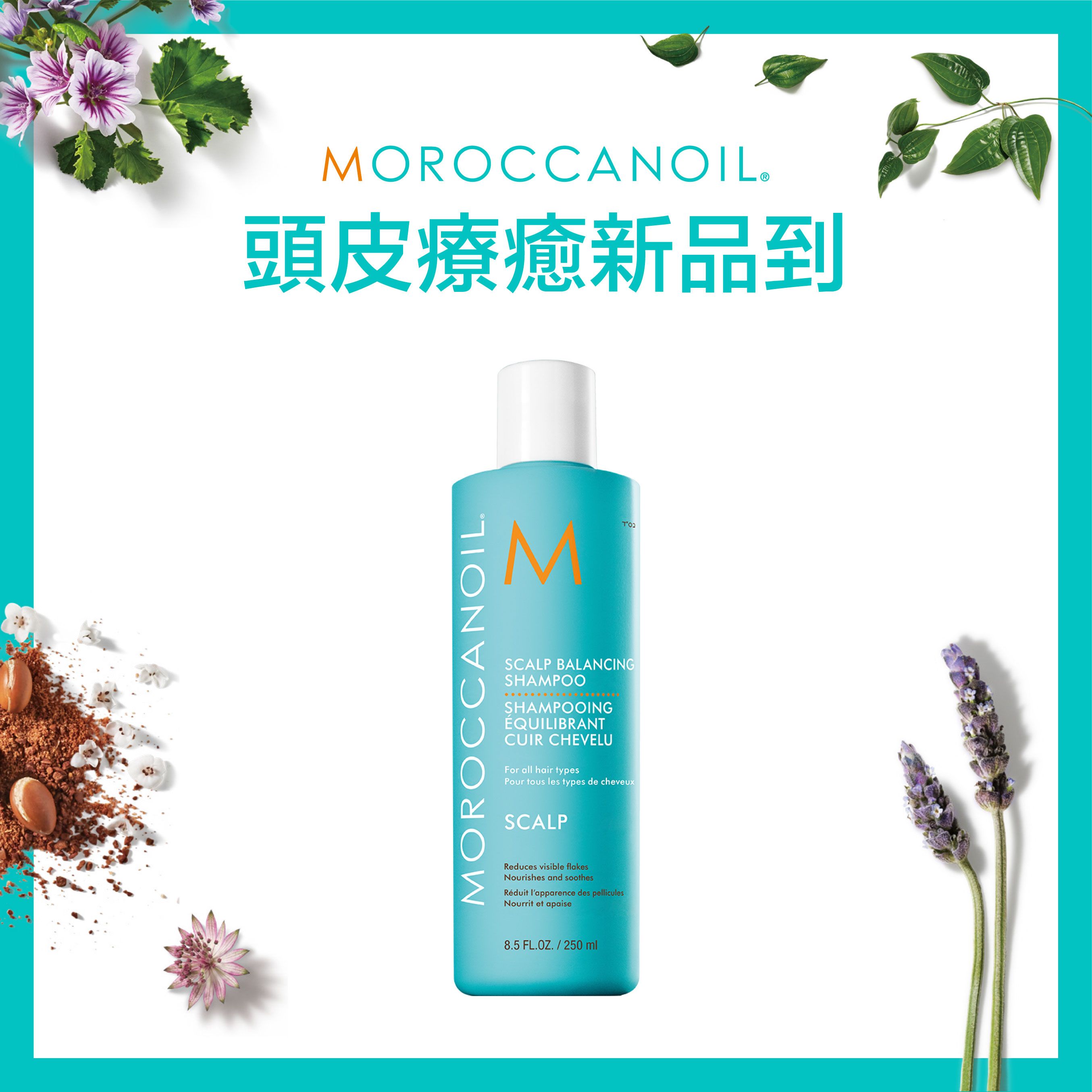 【新品上市】MOROCCANOIL優油頭皮平衡洗髮露250ML