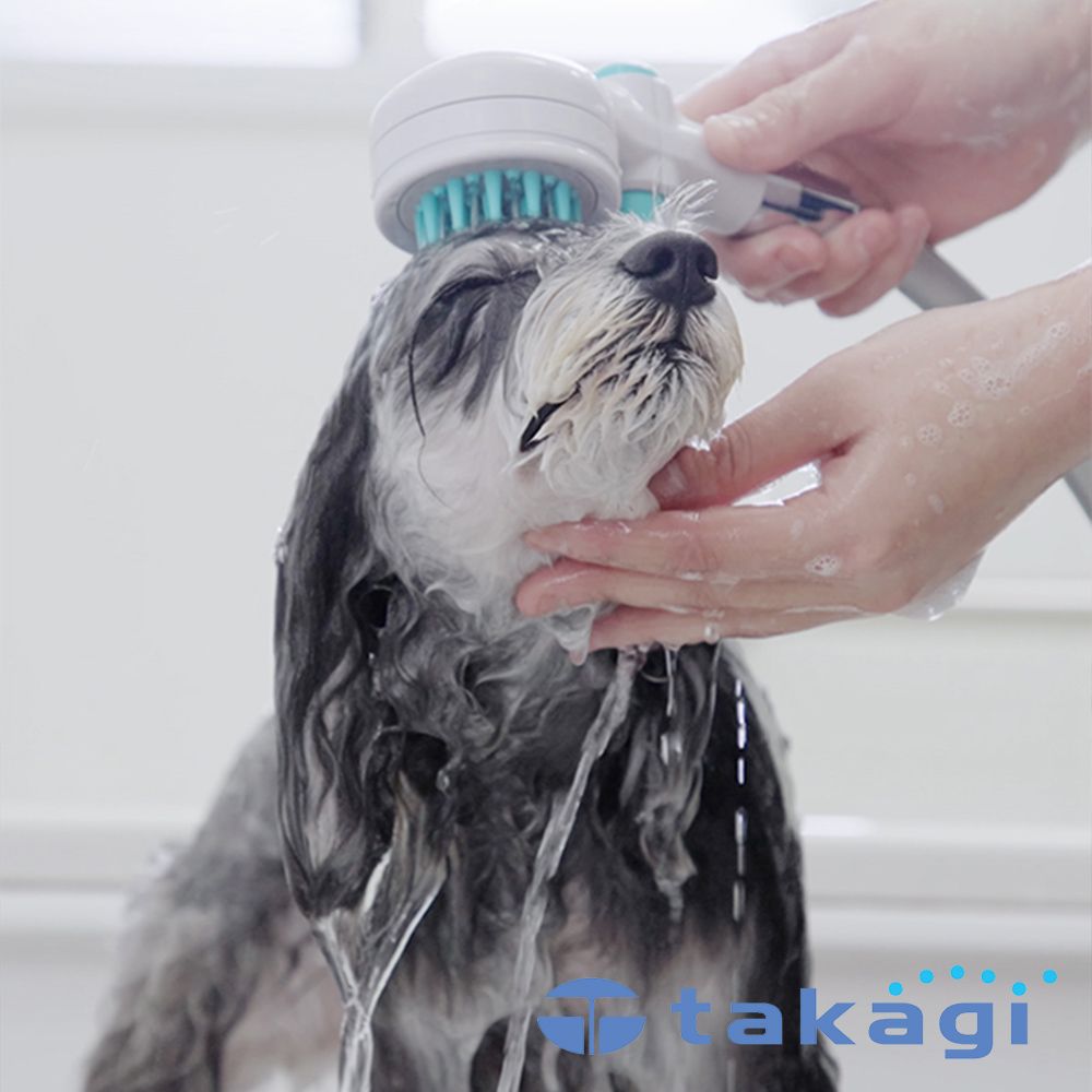 [takagi] 寵物美容洗澡SPA專用蓮蓬頭
