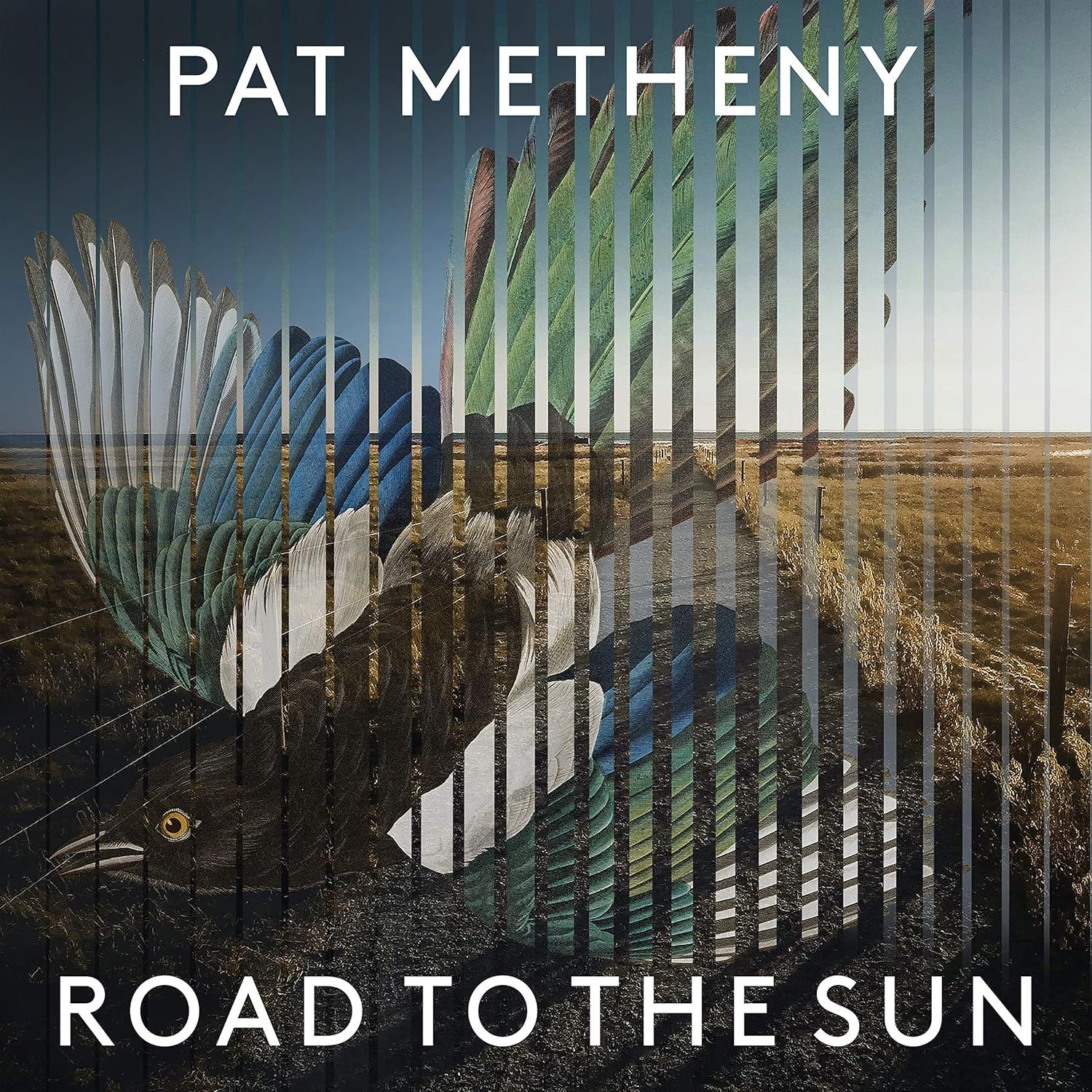 Road To The Sun (2LP+CD+2 Books/Limited Deluxe Edition)