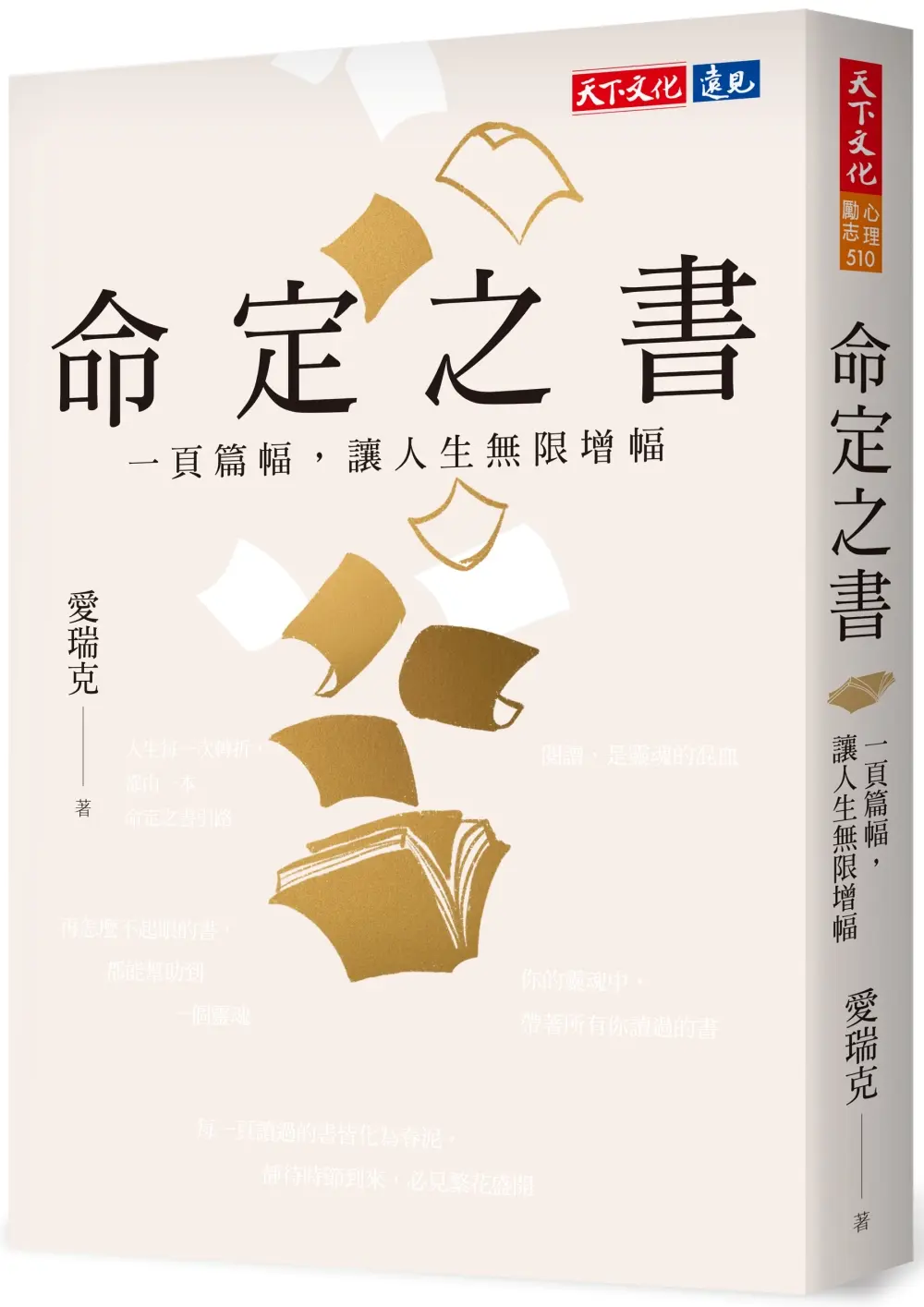 命定之書: 一頁篇幅, 讓人生無限增幅